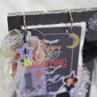 Seria-Photo Frame Minibook-Nakazawa Yoshi3