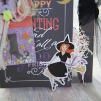 Seria-Photo Frame Minibook-Nakazawa Yoshi4