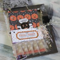 Seria-Photo Frame Minibook-Nakazawa Yoshi7